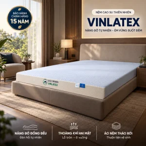 Nệm Cao Su Thiên Nhiên Trung Sơn - VinLatex