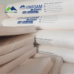 Nem VinFoam 1