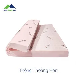 Nem cao su Germany - Trung Son 1