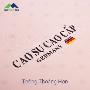 Nem cao su Germany - Trung Son 2