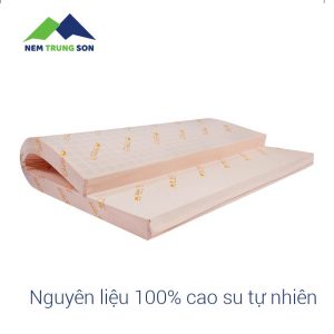 Nem cao su thien nhien VinLatex - Trung Sơn 2