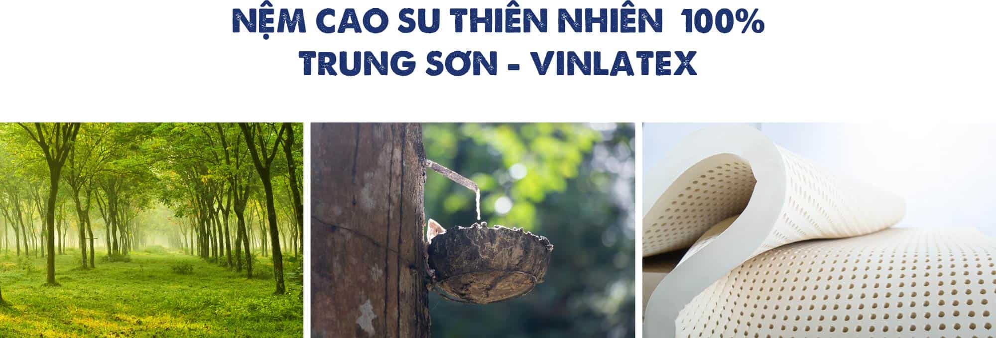 Nem cao su thien nhien VinLatex - Trung Sơn 4