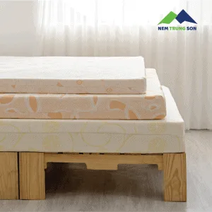 Nem Foam Hoat Tinh Trung Sơn 1