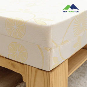 Nem Foam Hoat Tinh Trung Sơn 4