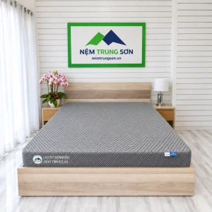 Nệm Cao Su Thiên Nhiên Hoạt Tính RELAX