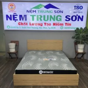 Nệm VINFOAM GRAY