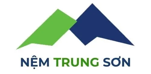 Nệm Trung Sơn